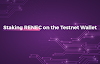 How to Stake RENEC on the Testnet Wallet 